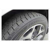 Зимние шины Dunlop Winter Maxx SJ8 255/45R20 105R