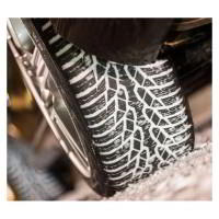 Зимние шины Nokian Tyres WR D4 225/60R16 XL 102V