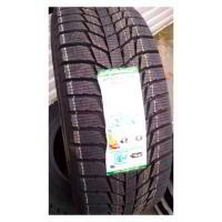 Зимние шины Triangle PL01 255/55R20 110R