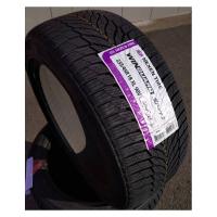 Зимние шины Nexen Winguard Sport 2 195/65R15 91H
