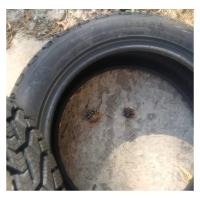 Зимние шины Tigar Winter 205/55R16 91H