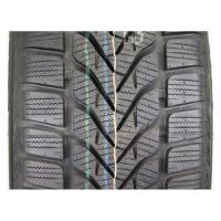 Зимние шины Lassa Competus Winter 2 Plus 235/50R18 101H