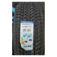 Зимние шины Triangle WinterX TW401 205/50R17 93V