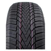Зимние шины Arivo Winmaster ProX ARW3 185/55R16 83H