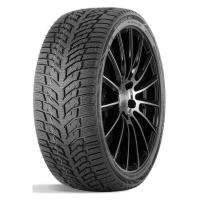 Зимние шины Doublestar DW08 205/50R17 93H