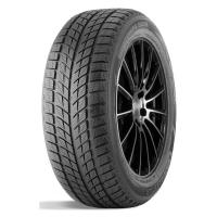 Зимние шины Doublestar DW09 235/55R17 99T