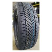 Зимние шины Tourador Winter Pro TS1 225/60R16 XL 102H